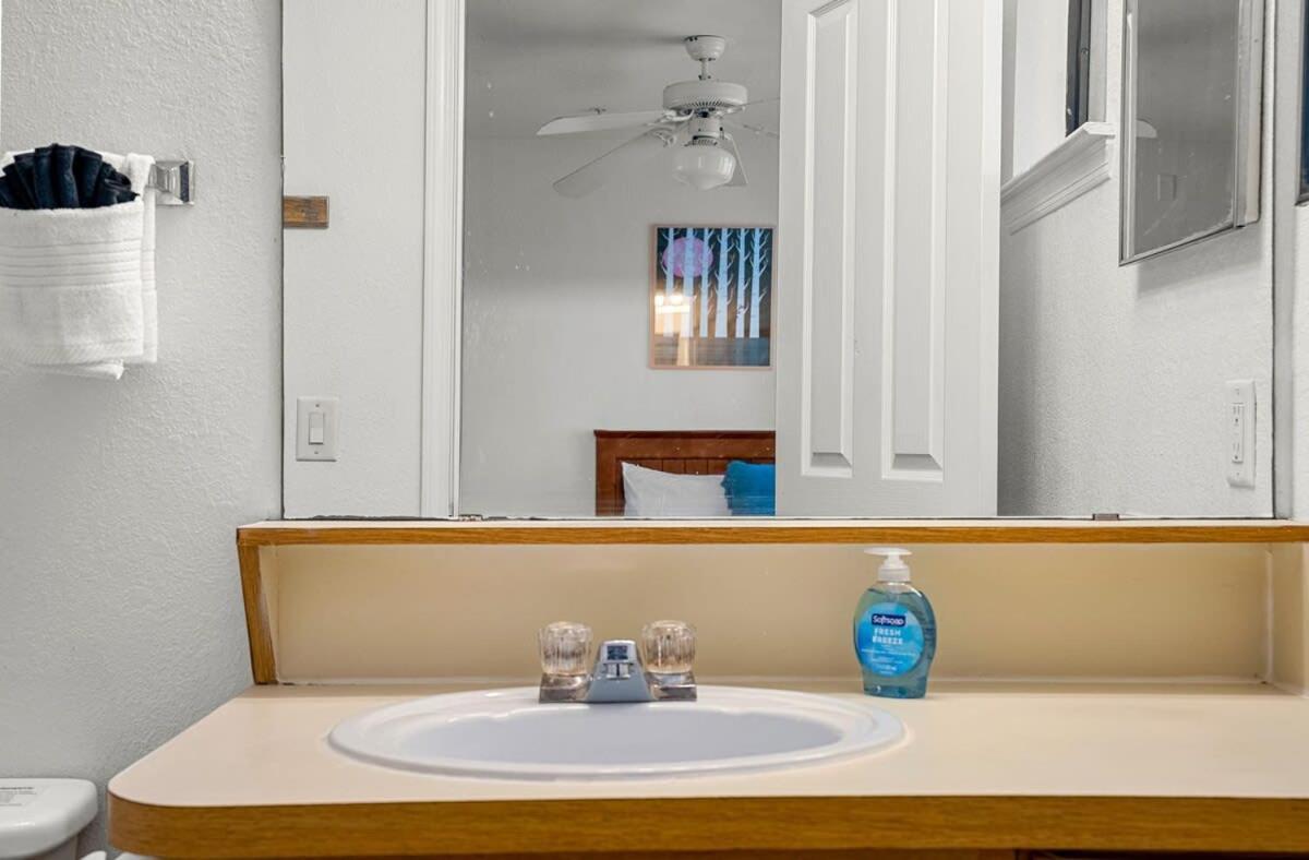 4Bd 2 Mi To Usf Free Pool + 24 Hour Gym Villa Tampa Eksteriør bilde