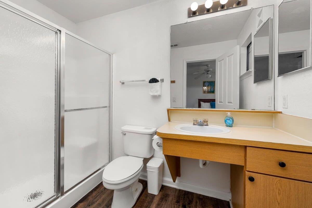 4Bd 2 Mi To Usf Free Pool + 24 Hour Gym Villa Tampa Eksteriør bilde