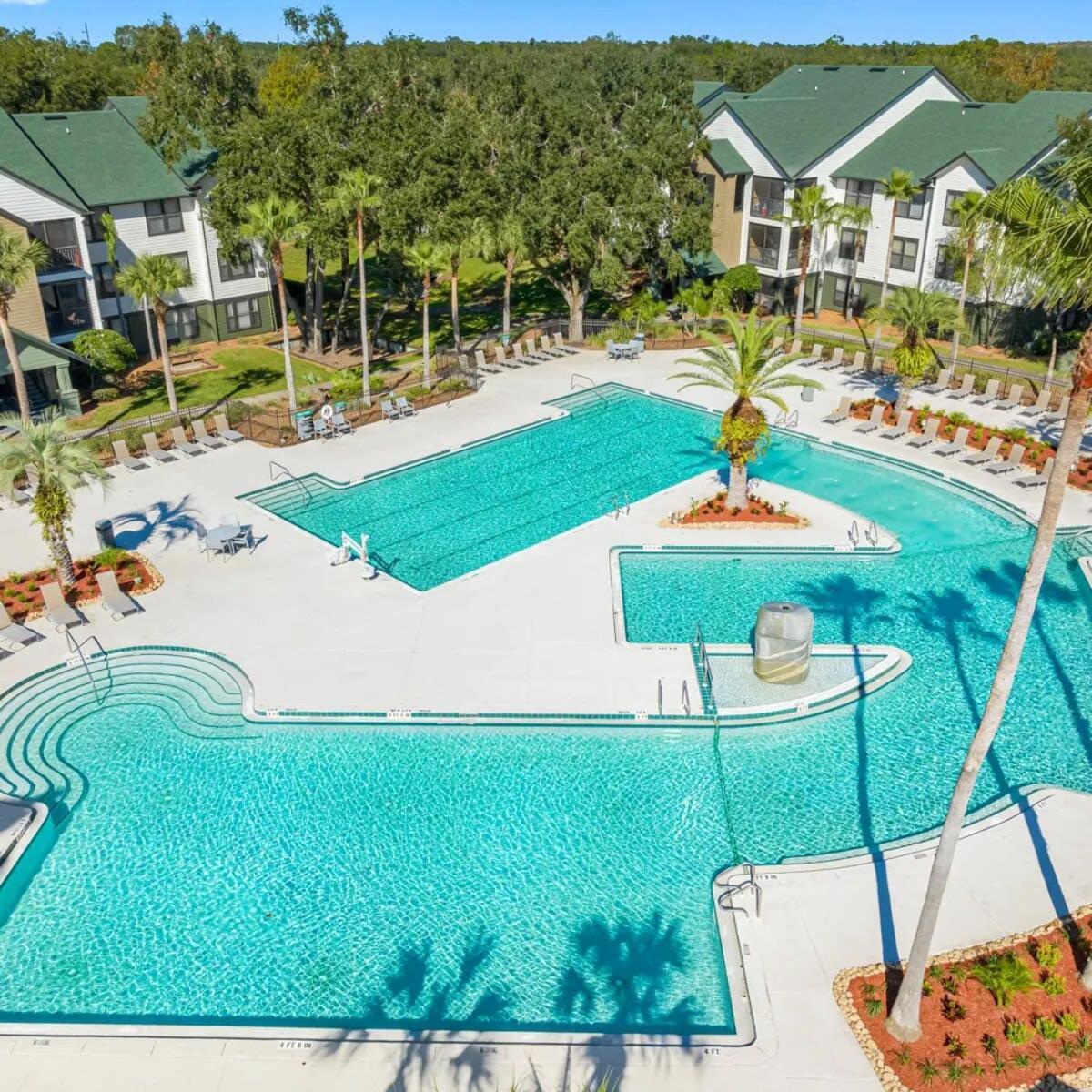 4Bd 2 Mi To Usf Free Pool + 24 Hour Gym Villa Tampa Eksteriør bilde